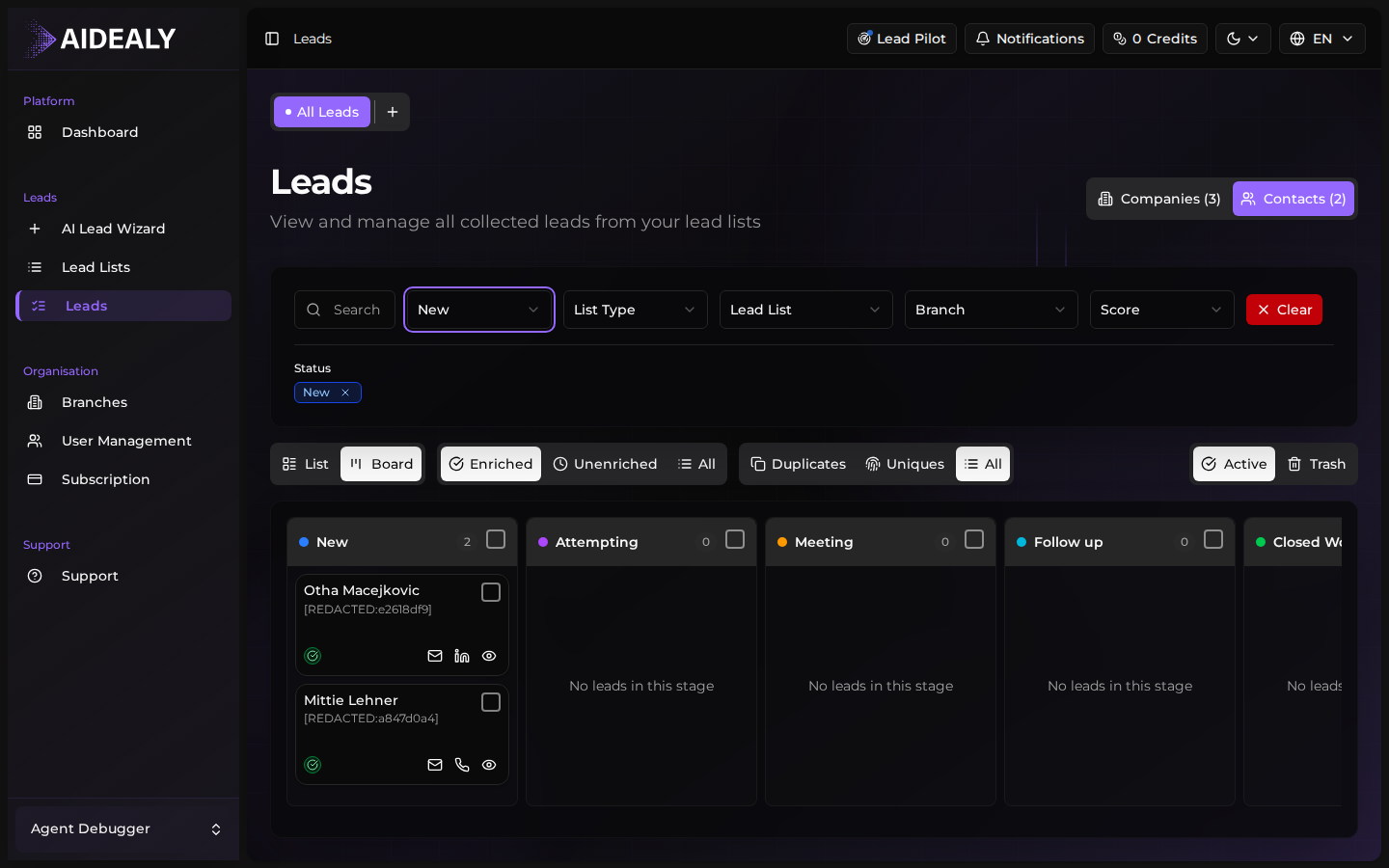 Active filter pills on the leads page